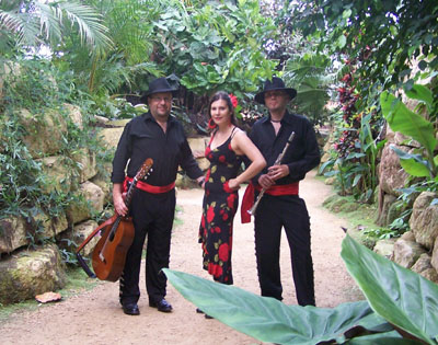 latijns amerikaanse live muziek trio